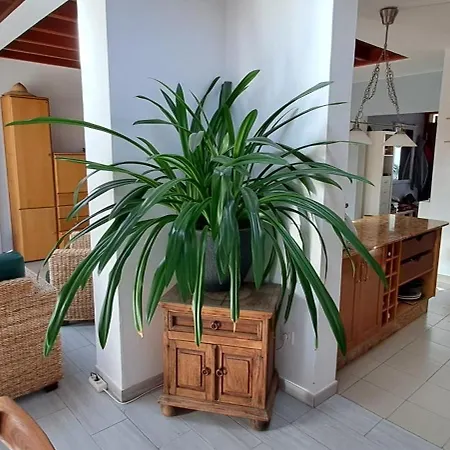 Hacha Grande Holiday home *